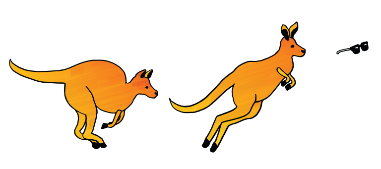 kangaroo-hopping-towards-sunglasses