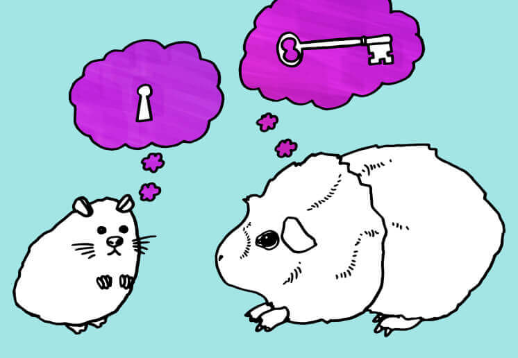 illustration-of-gerbils-dreaming-about-a-lock-and-key