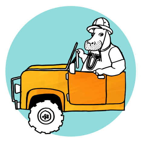 hippo-in-campus-t-shirt-and-safari-hat-driving-a-jeep